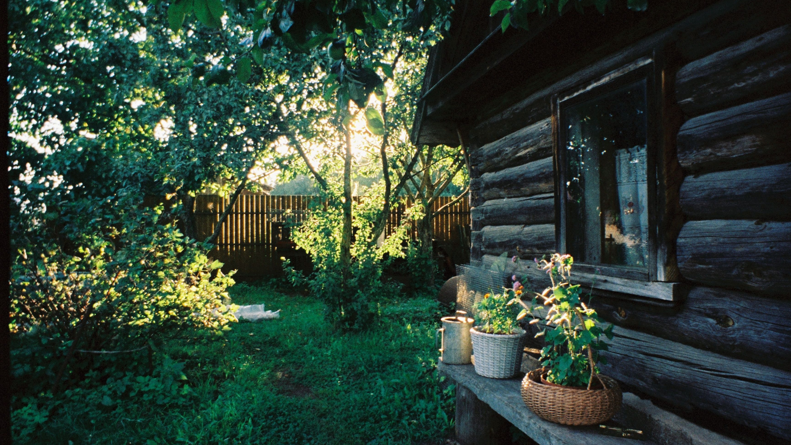 dachas