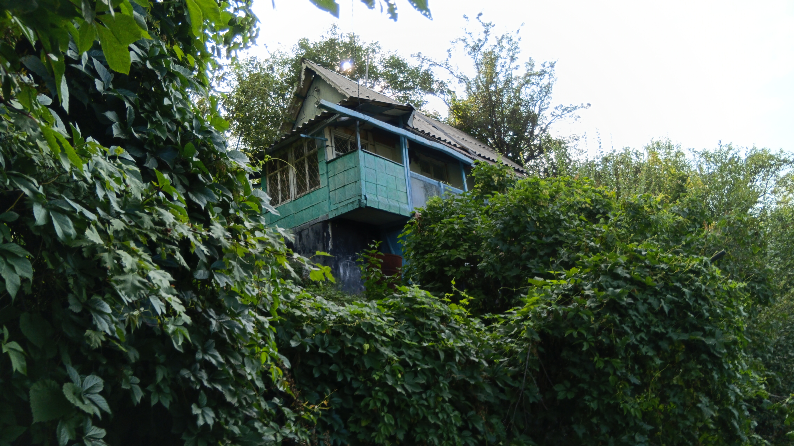 dachas