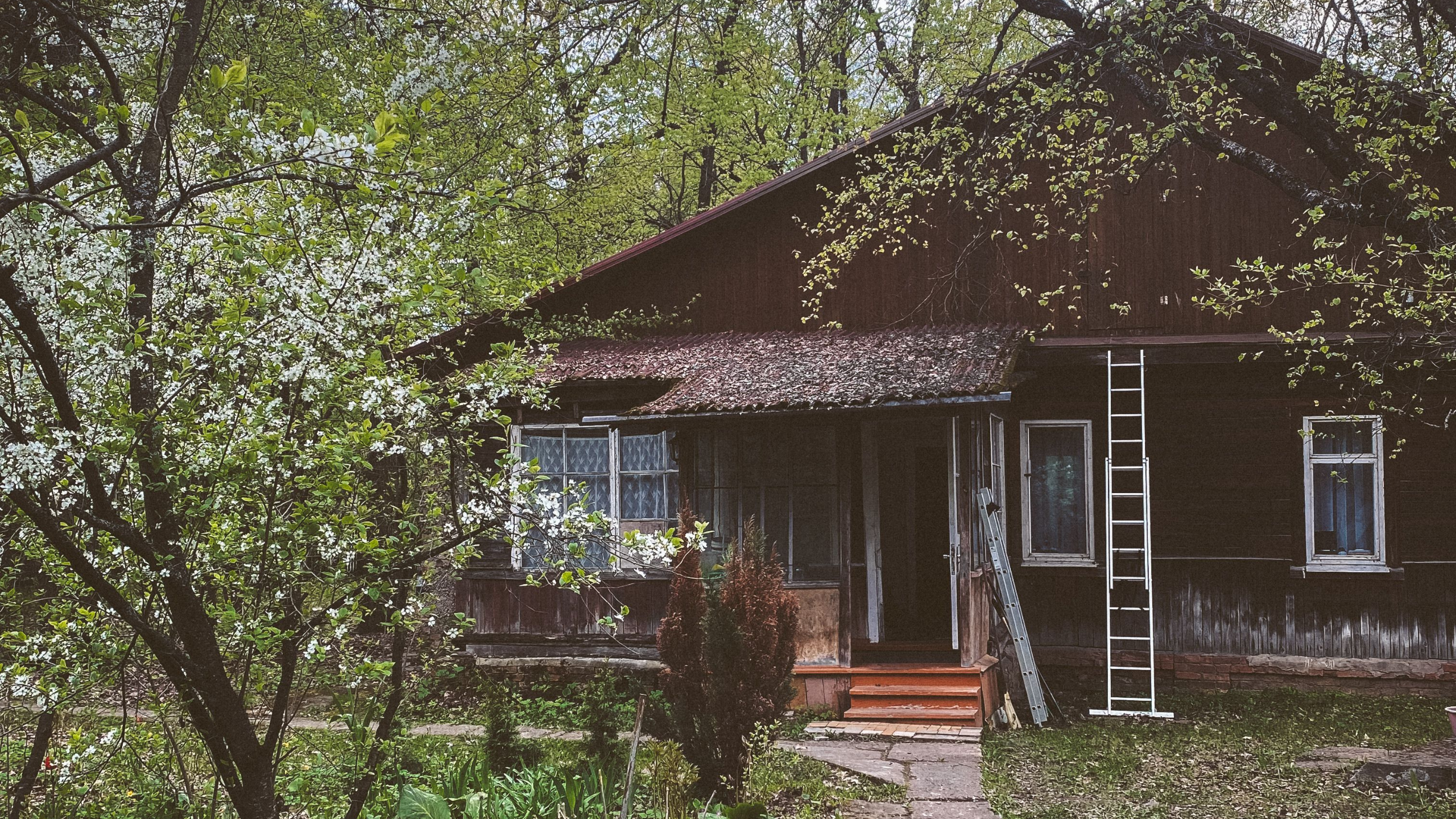 dachas