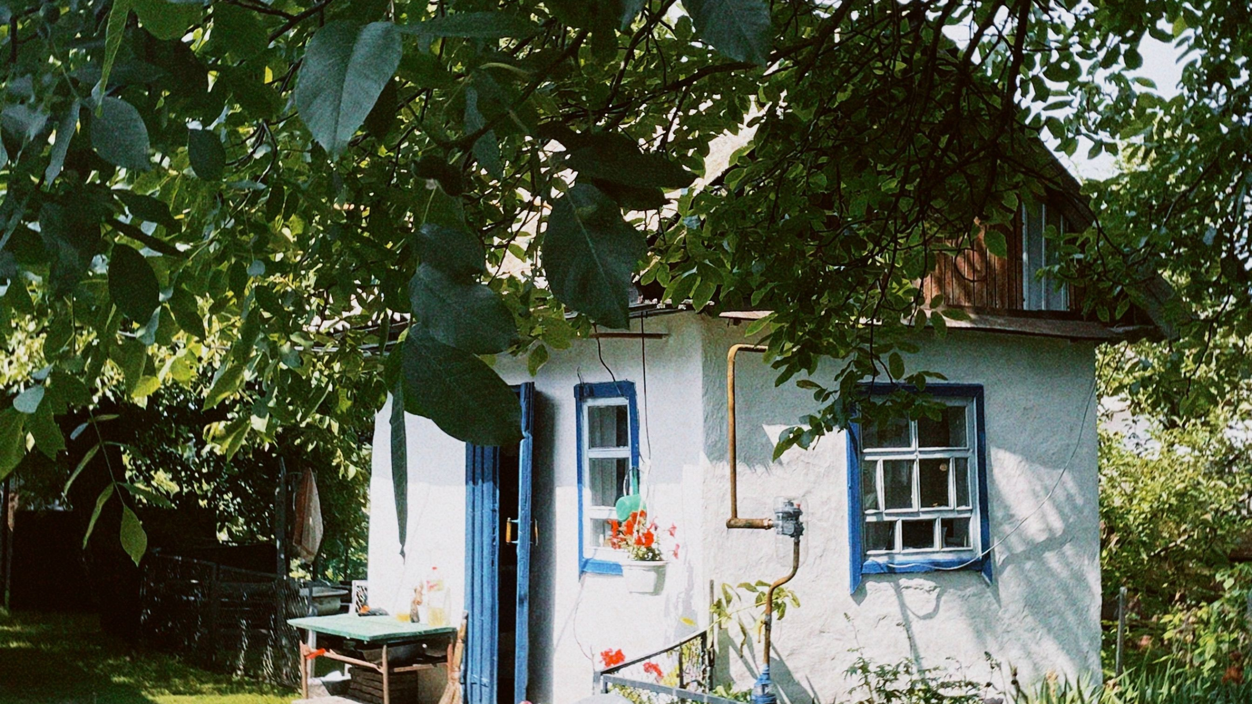 dachas