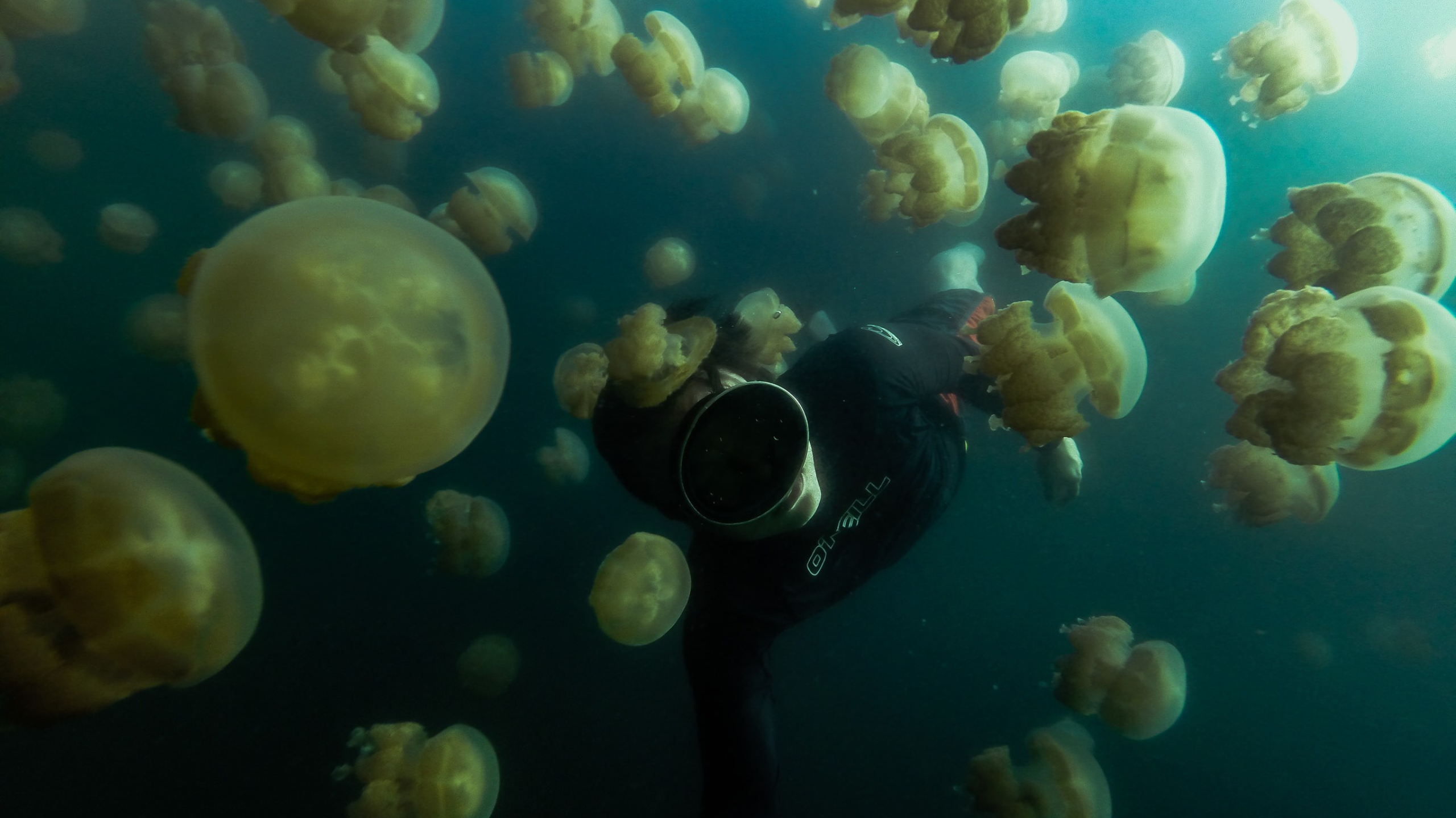 where and wander